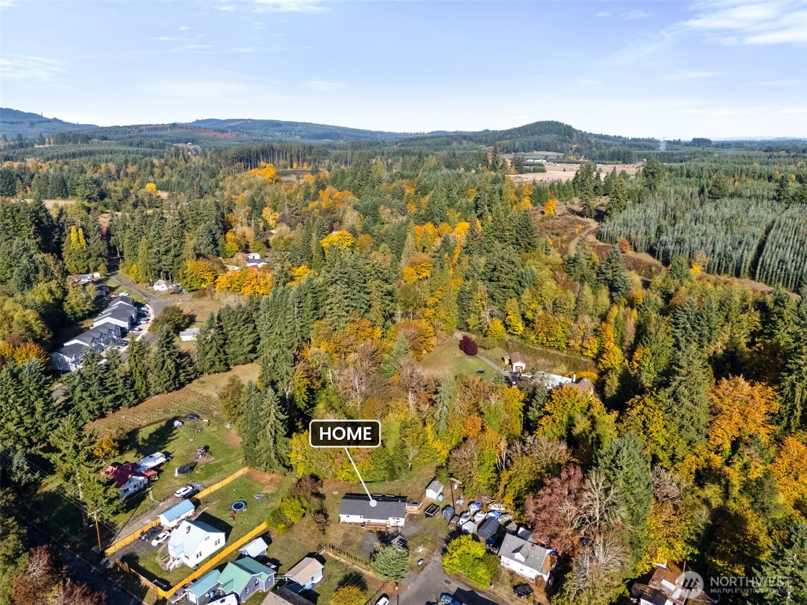 1003 Northwest Dexter Avenue Winlock, WA 98596 - Photo 38 of 39 view of city and mountain