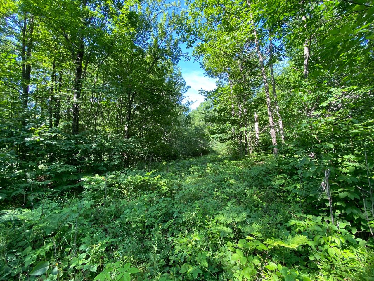 Lot 2 Cambridge Court Rhinelander, WI 54501 - Photo 12 of 13 Gallery Image 12