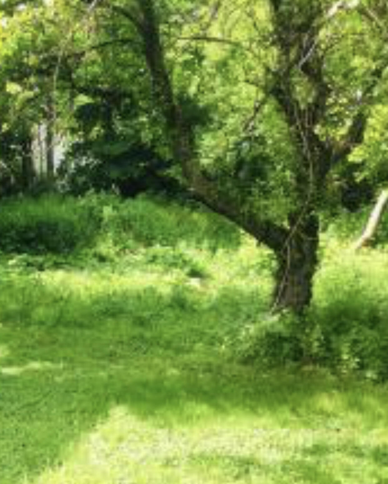 1124 East North Ave Unit 1126  