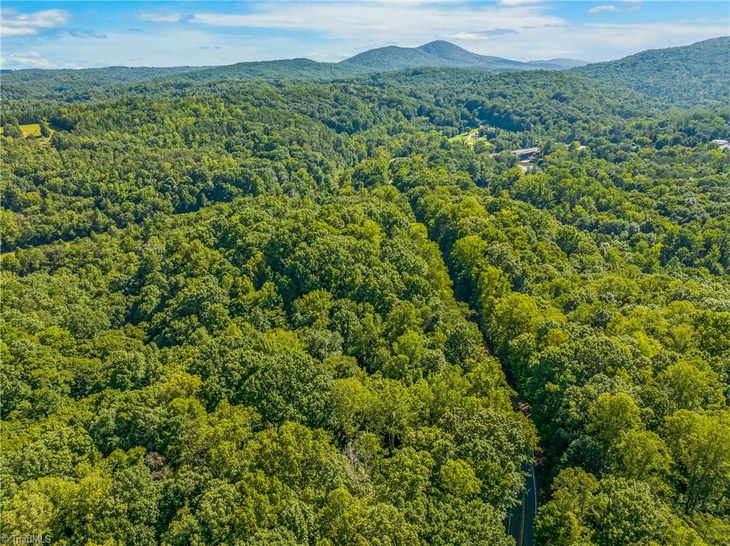 0 Sheppard Mill Road Danbury, NC 27016 - Photo 2 of 10 Gallery Image 2