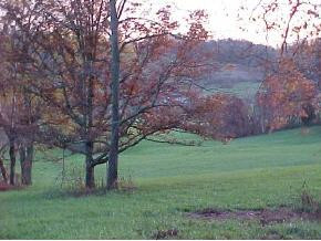O Carters Valley Road Church Hill, TN 37642 - Photo 1 of 2 Photo 1