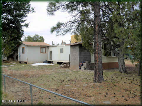 2115 Fishermans Road Overgaard, AZ 85933 - Photo 7 of 9 side view from road