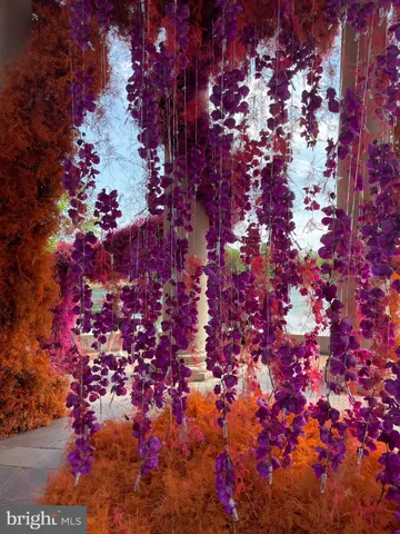 a picture of flowers