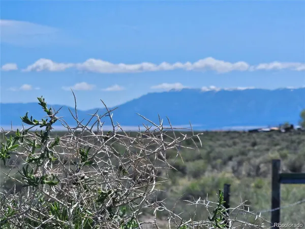 a view of a yard with mountain