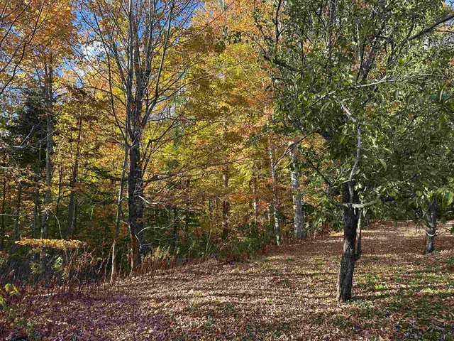 $299,000 | 1502 Highway 2, Randolph, NH 03593