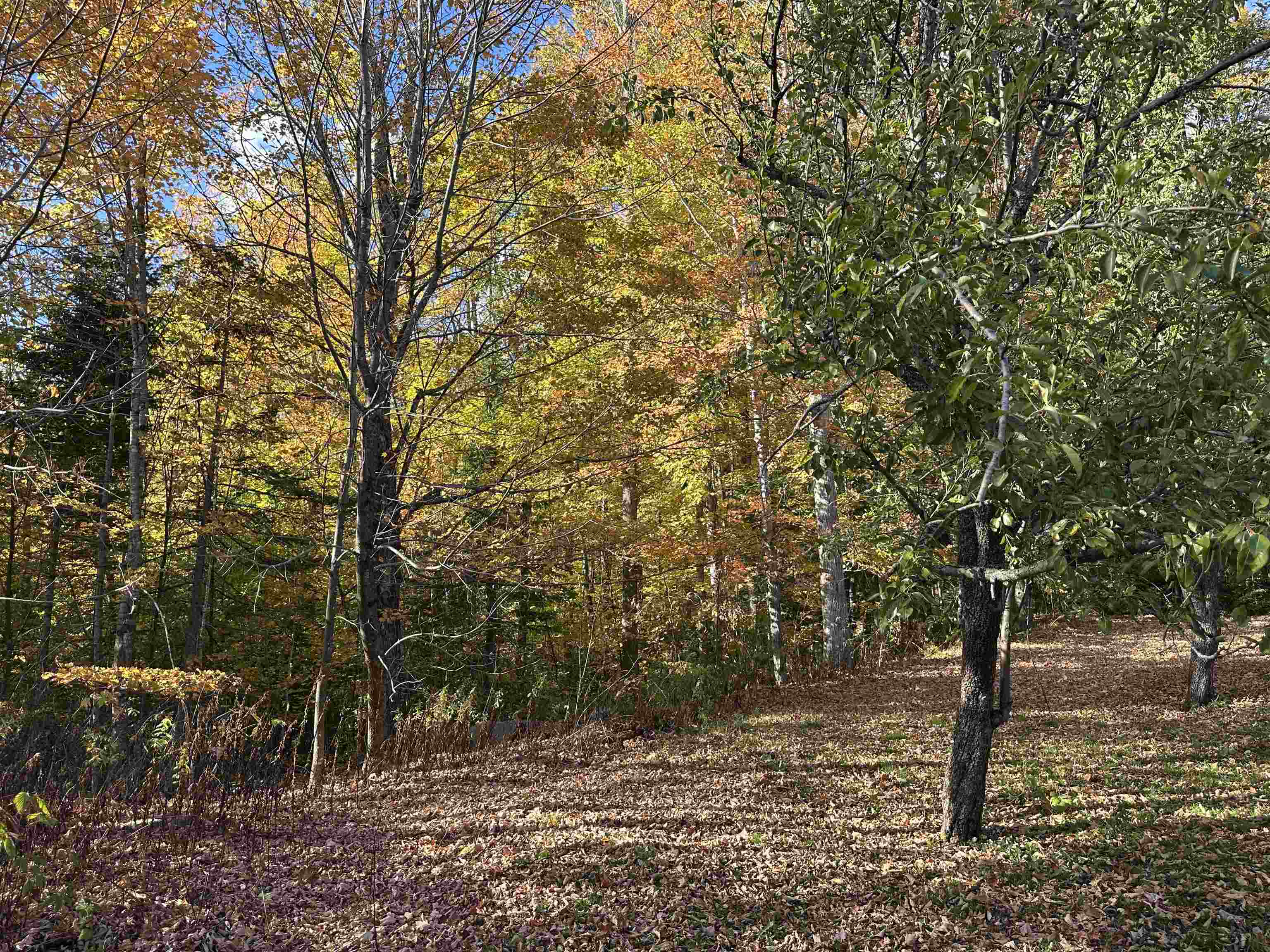 1502 Highway 2 Randolph, NH 03593 - Photo 7 of 22