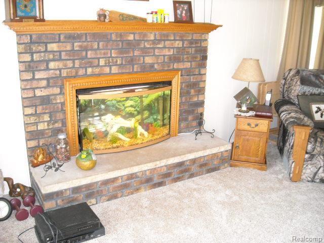 381 North Elm Grove Road Lapeer, MI 48446 - Photo 4 of 38