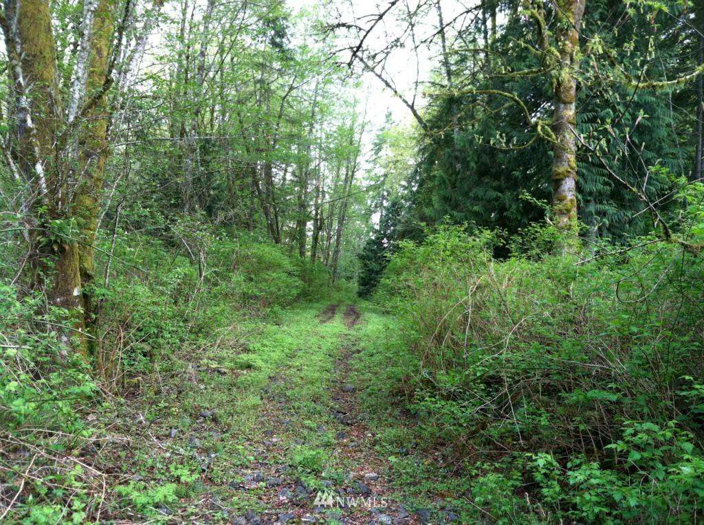 0 Southeast Roper Lane Olalla, WA 98359 - Photo 2 of 4 Gallery Image 2