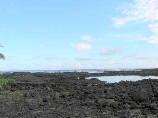 Waiopae Road Pahoa, HI 96778 - Photo 6 of 13 Gallery Image 6