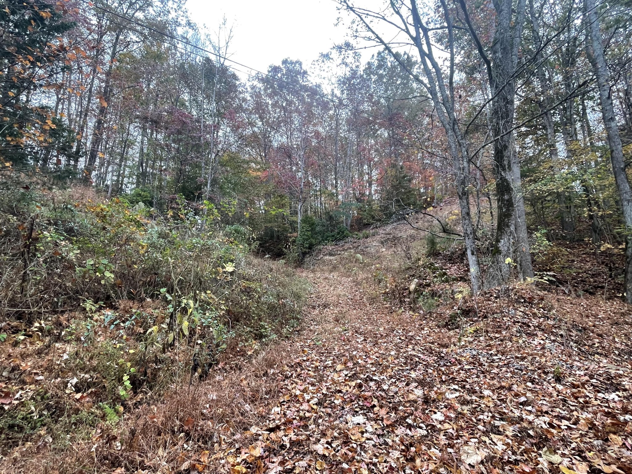 1 Pitts Gap Mountain Road Pikeville, TN 37367 - Photo 6 of 11