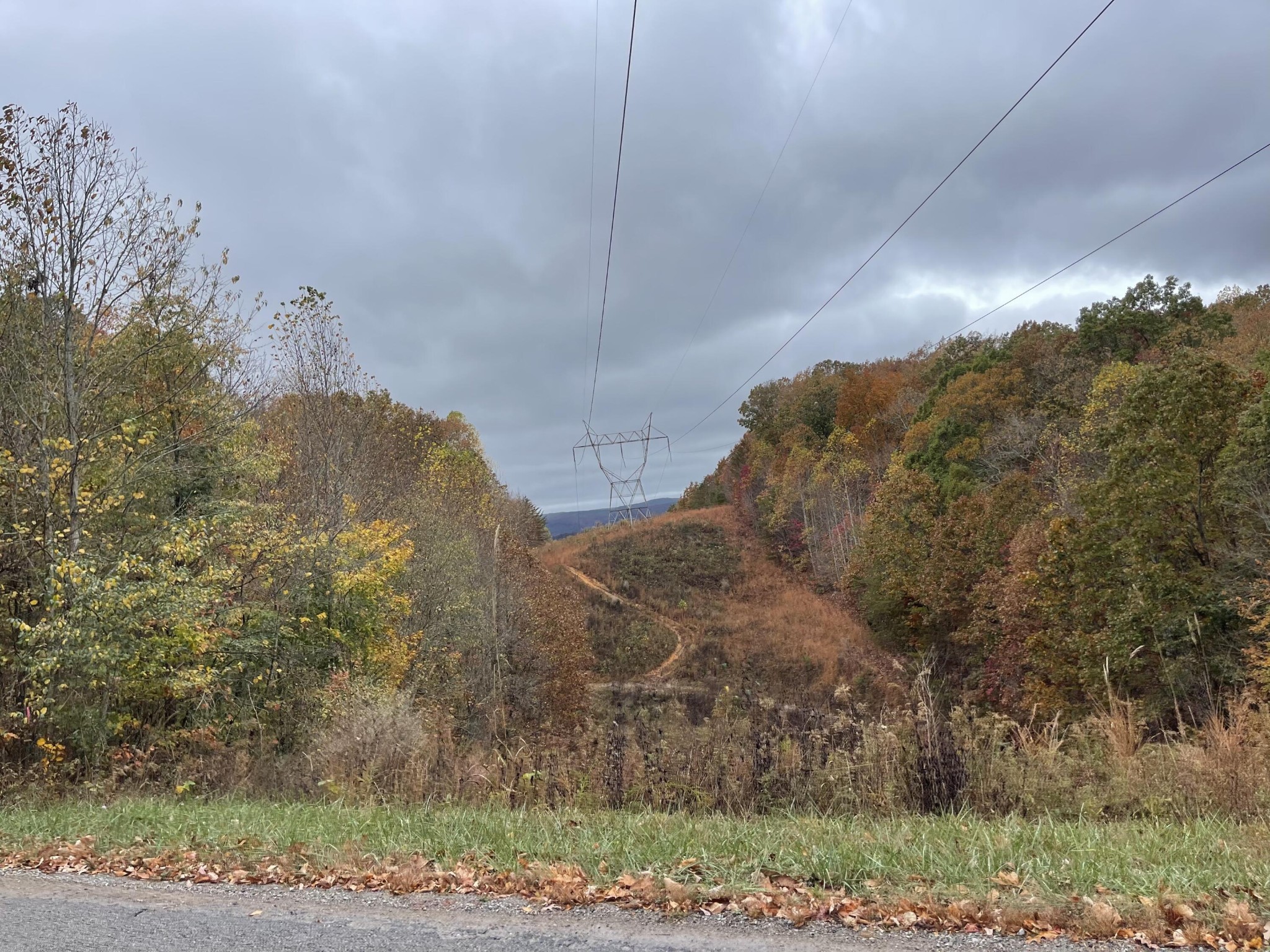 1 Pitts Gap Mountain Road Pikeville, TN 37367 - Photo 7 of 11