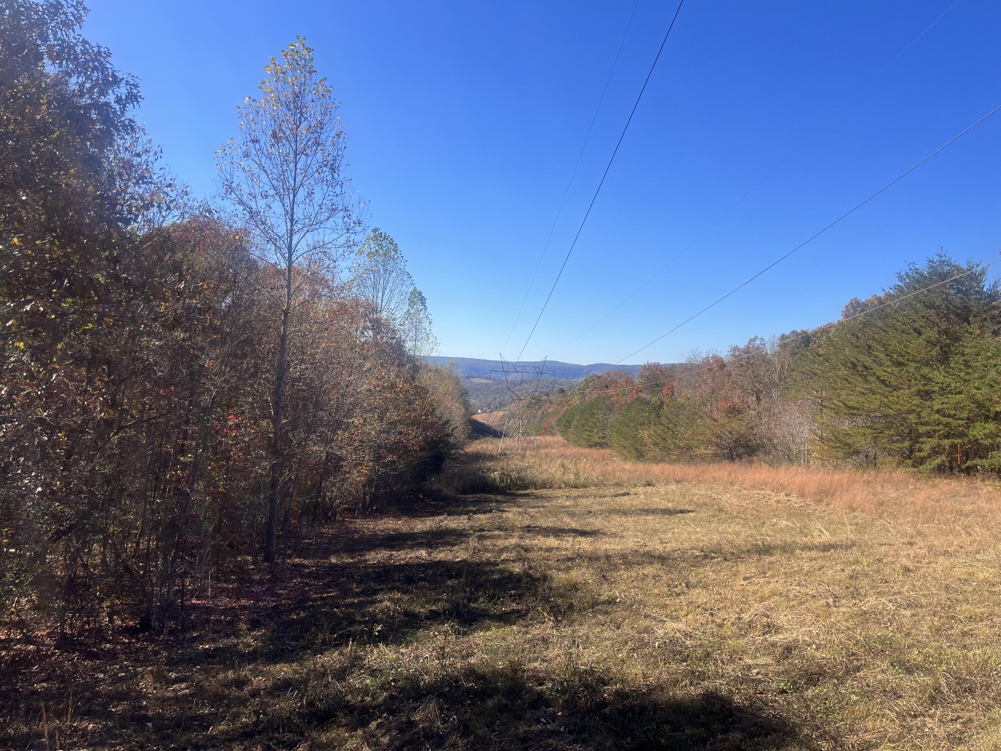1 Pitts Gap Mountain Road Pikeville, TN 37367 - Photo 8 of 11