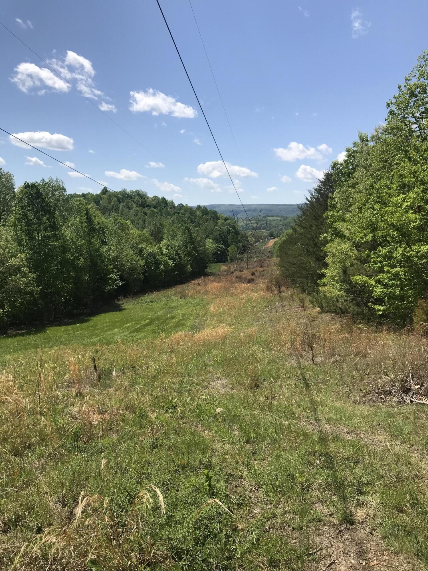 1 Pitts Gap Mountain Road Pikeville, TN 37367 - Photo 9 of 11