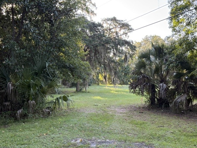 95654 Tyson Road Fernandina Beach, FL 32034 - Photo 3 of 3 Gallery Image 3