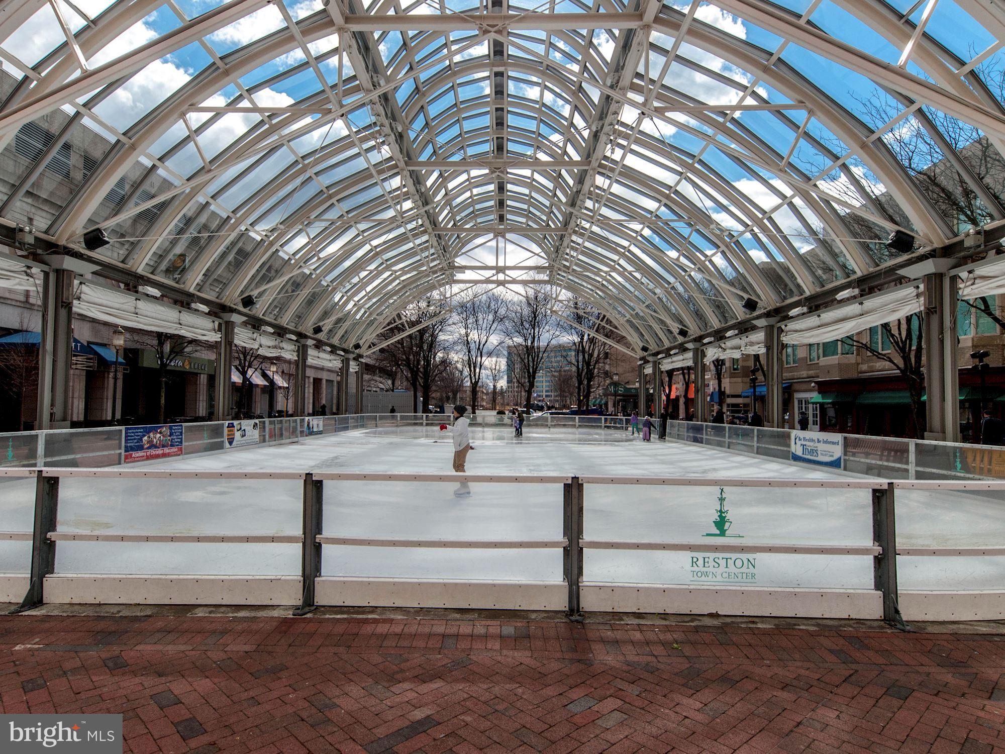 12016 Taliesin Place, Unit 22 Reston, VA 20190 - Photo 29 of 30 It's Ice Skating Season!