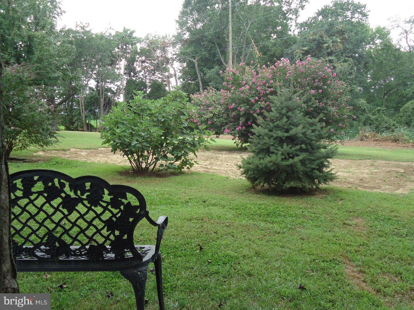 275 Pointers Auburn Road Mannington, NJ 08079 - Photo 17 of 23 Back Yard