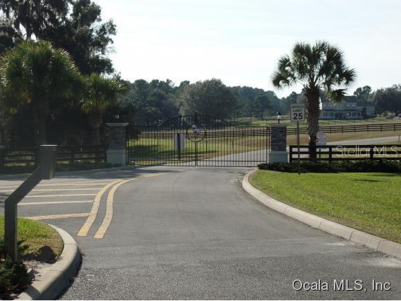 144 Southwest 144 Ct Road Ocala, FL 34481 - Photo 1 of 1 Primary Photo