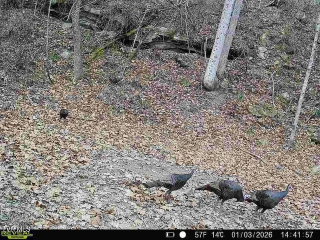 $145,000 | 132 Marigold Drive, St. Charles, VA 24282