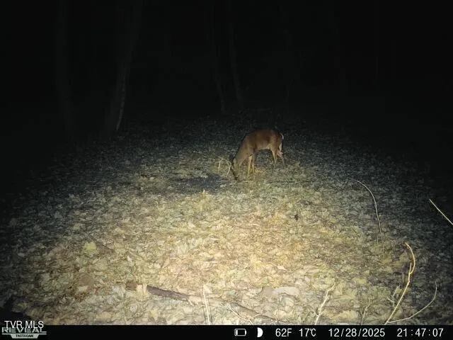 $145,000 | 132 Marigold Drive, St. Charles, VA 24282