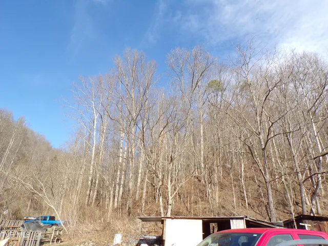 $145,000 | 132 Marigold Drive, St. Charles, VA 24282