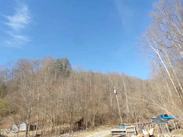 $145,000 | 132 Marigold Drive, St. Charles, VA 24282