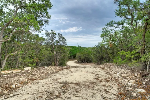 a view of a yard with plants and trees