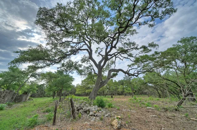 a backyard of a house with lots of trees