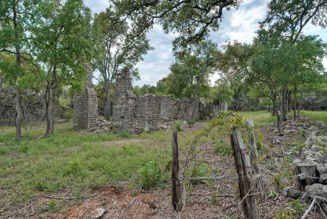 a view of a forest filled with trees