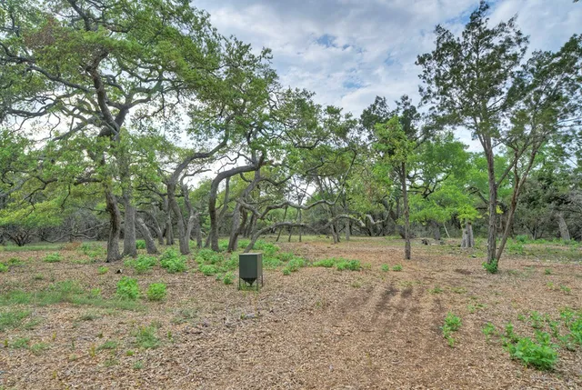 a view of outdoor space with trees