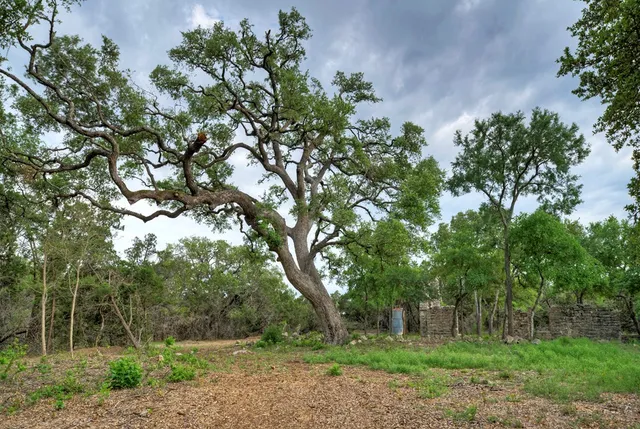 an outdoor space with garden view
