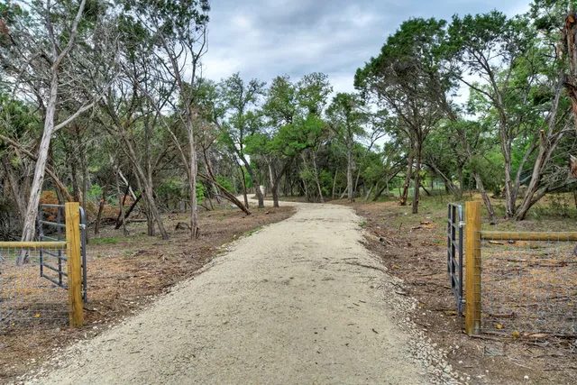 a view of a forest filled with trees