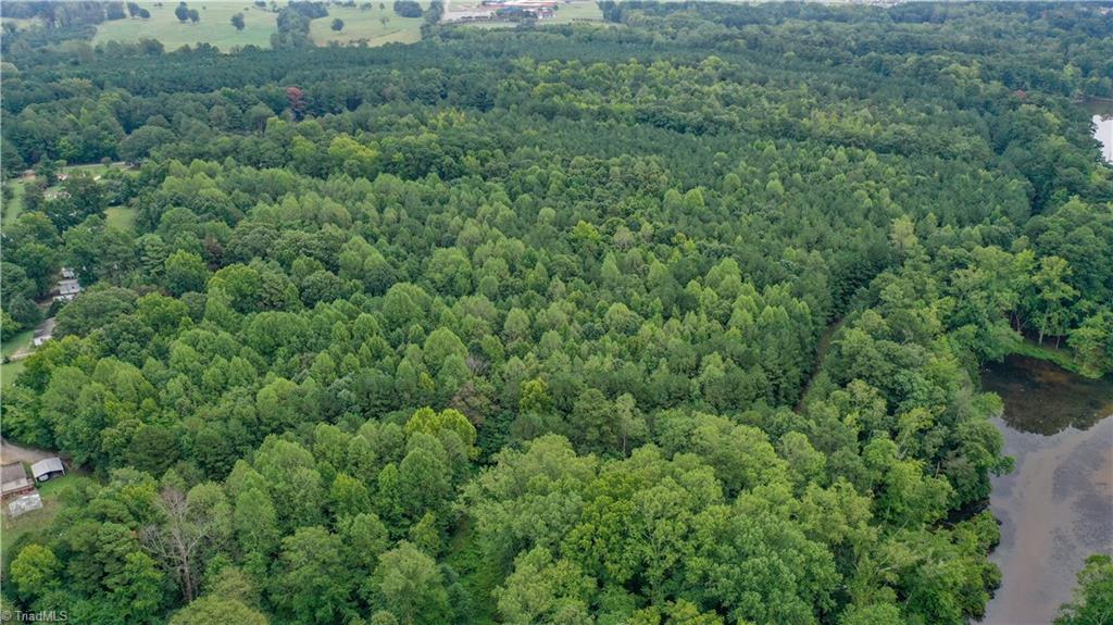 309 Fox Pond Road Henderson, NC 27537 - Photo 19 of 28 Gallery Image 19
