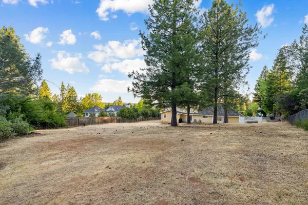 a view of large trees with a big yard