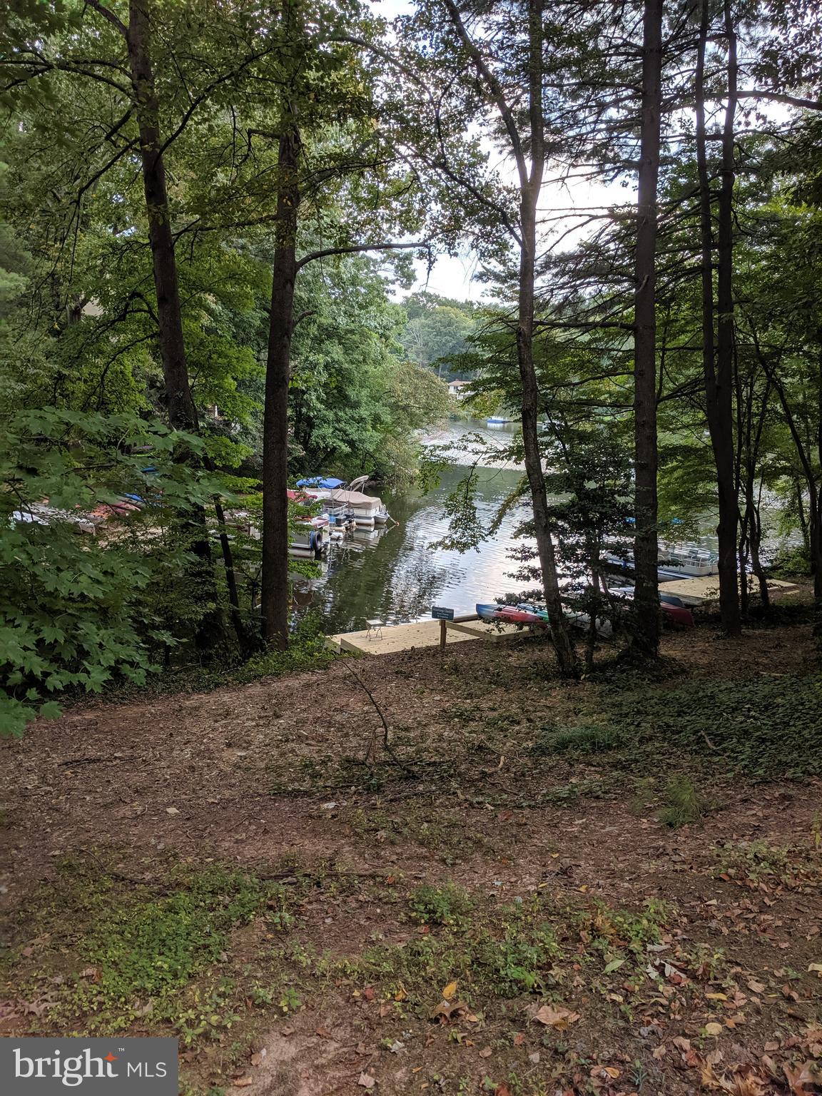 11268 Fairwind Way Reston, VA 20190 - Photo 44 of 51 View to lake from trail behind the house.