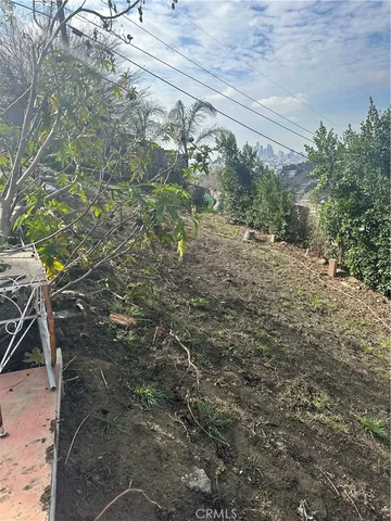 a view of a yard with plants and trees