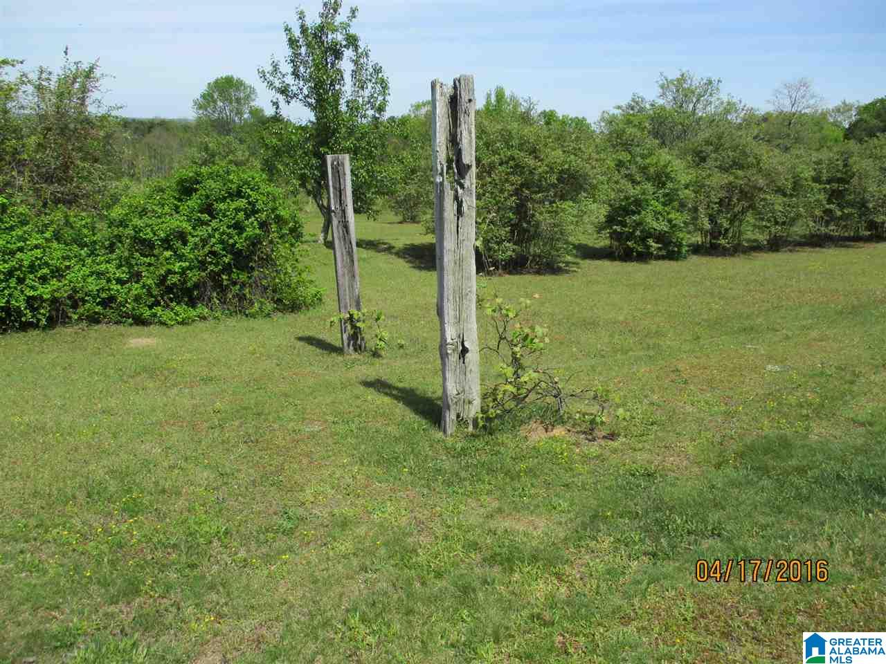 2253 Cliff Springs Road Oneonta, AL 35121 - Photo 27 of 50 Gallery Image 27