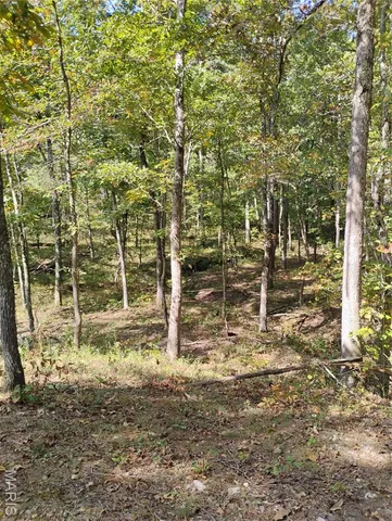 $410,000 | 0 County Road 5600, Bunker, MO 63629