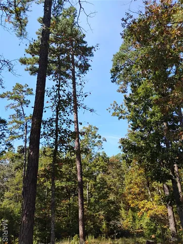 $410,000 | 0 County Road 5600, Bunker, MO 63629