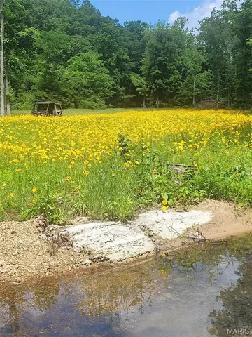 $410,000 | 0 County Road 5600, Bunker, MO 63629