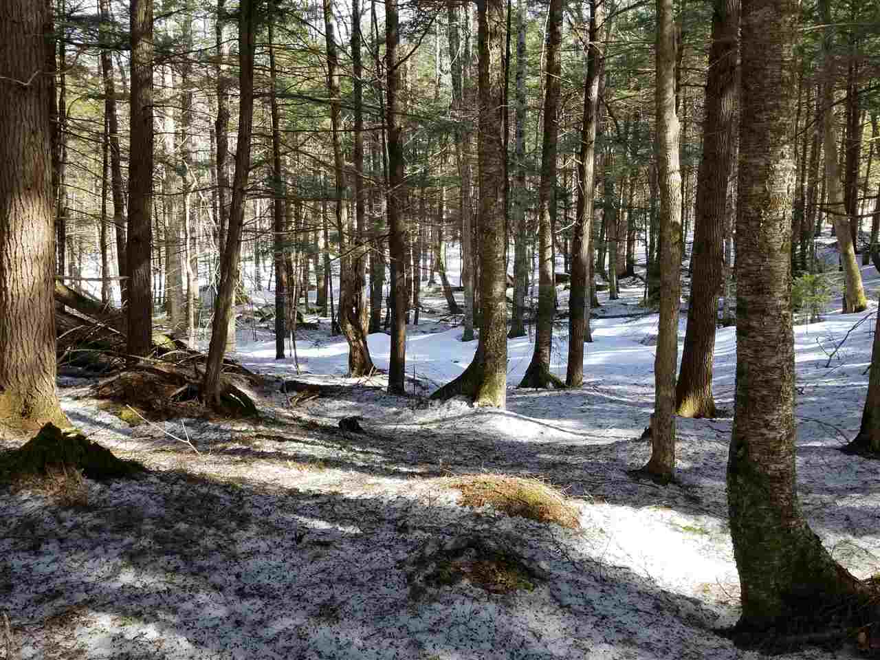 120-121 Wolfeboro Road Hanover, NH 03755 - Photo 19 of 33