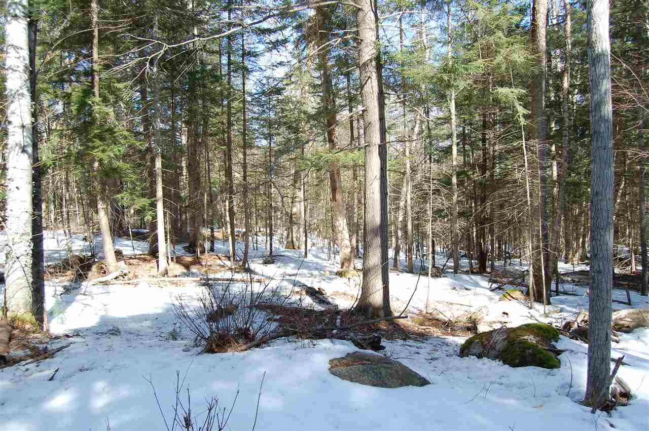 120-121 Wolfeboro Road Hanover, NH 03755 - Photo 25 of 33