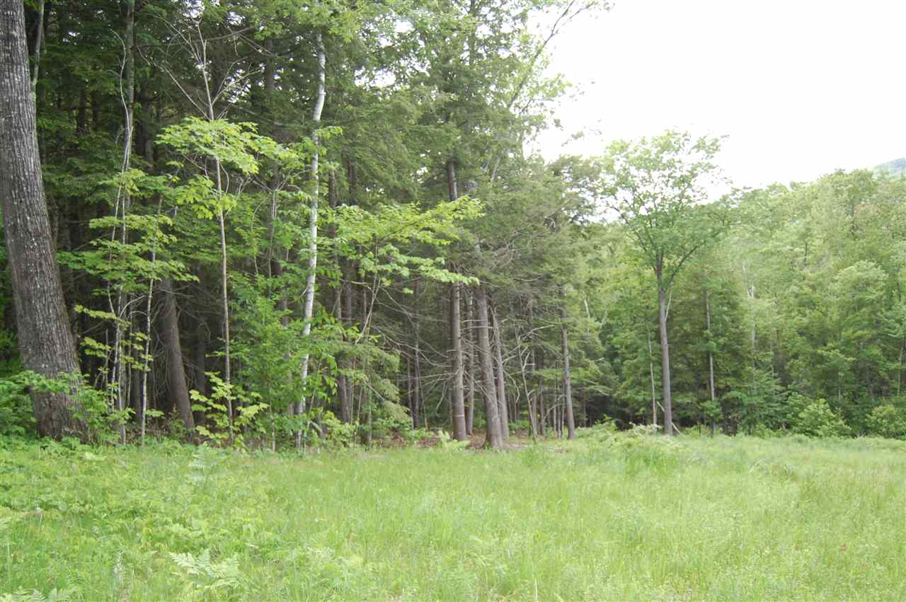 120-121 Wolfeboro Road Hanover, NH 03755 - Photo 28 of 33