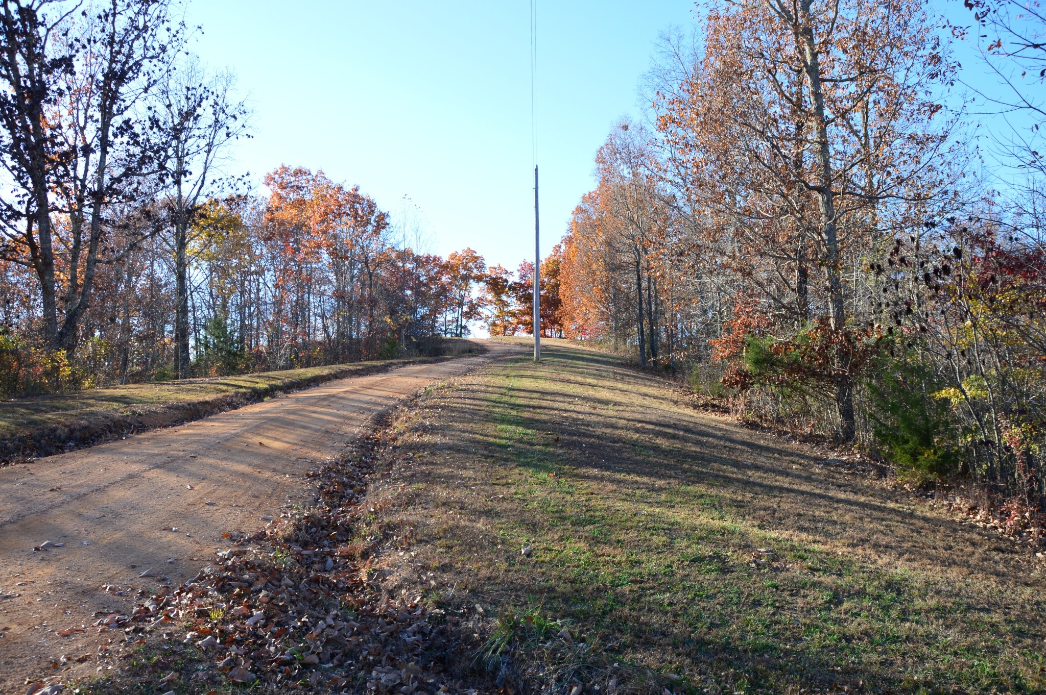 351 Hurricane Creek Road Linden, TN 37096 - Photo 11 of 41 a view of a yard with large trees
