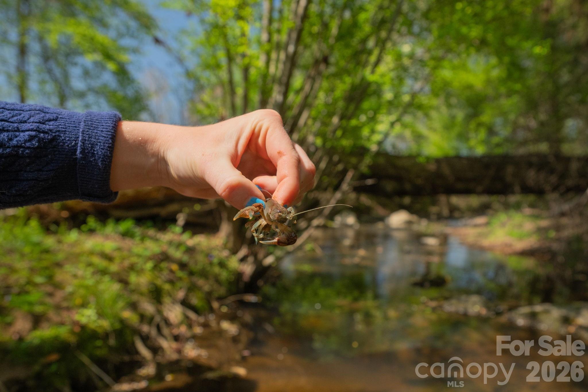 32286 Laton Road Albemarle, NC 28001 - Photo 31 of 47