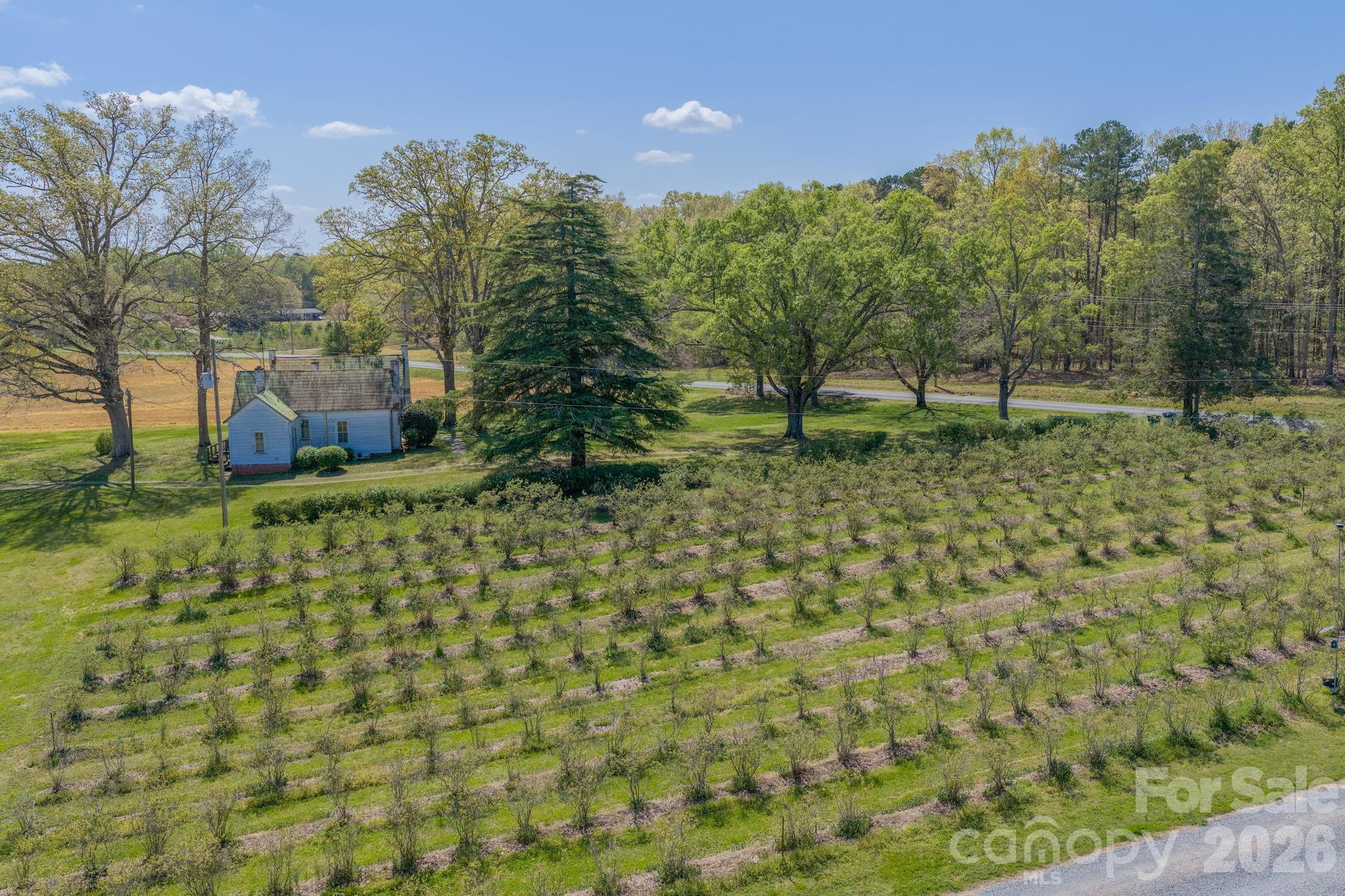 32286 Laton Road Albemarle, NC 28001 - Photo 33 of 47