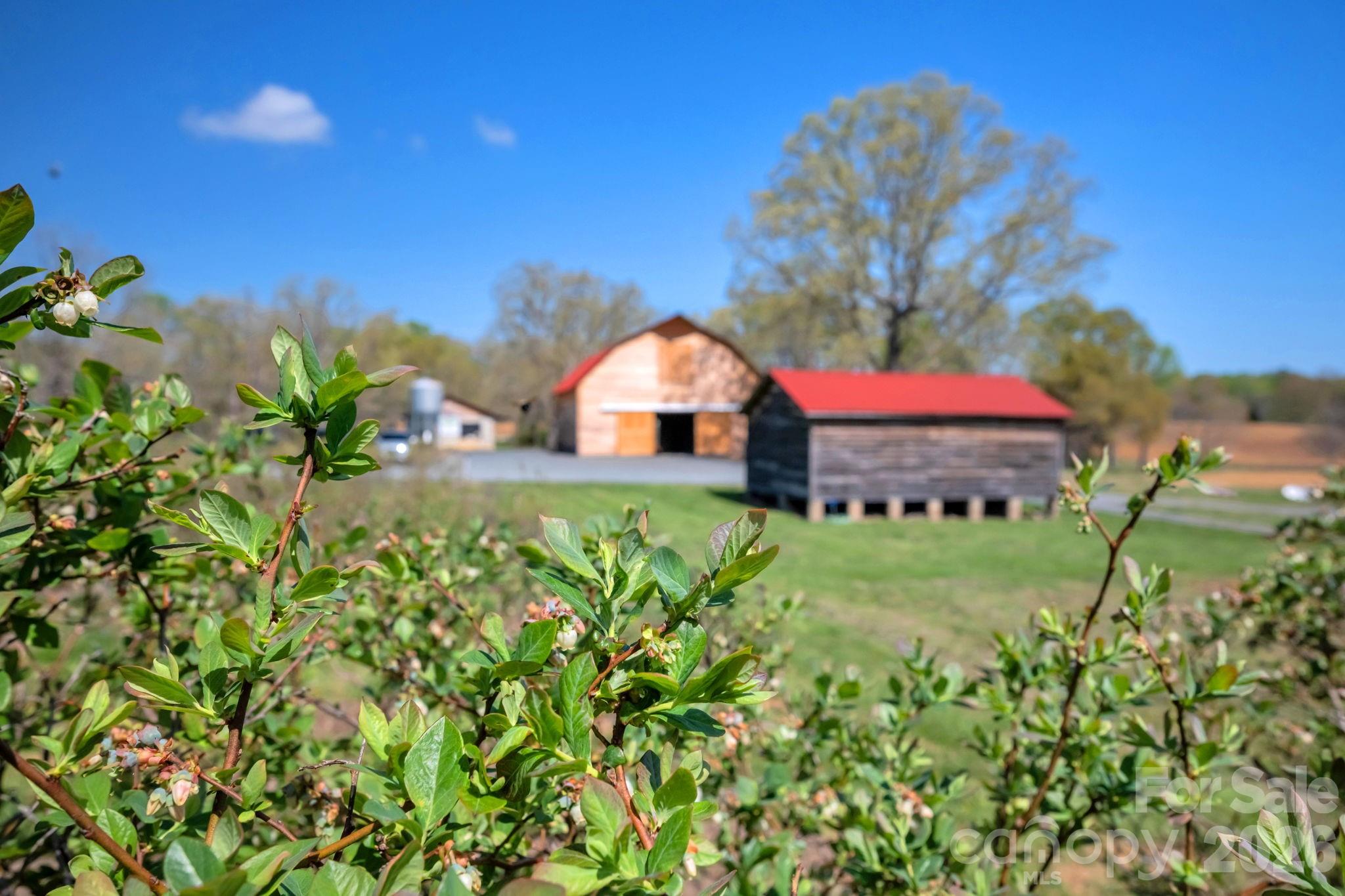 32286 Laton Road Albemarle, NC 28001 - Photo 34 of 47