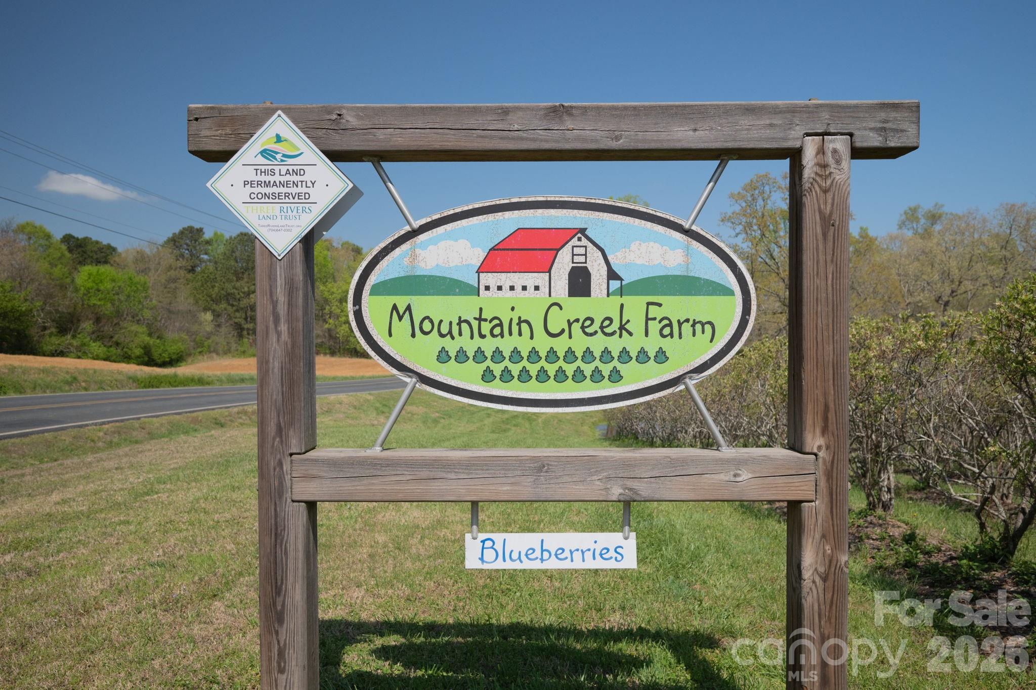 32286 Laton Road Albemarle, NC 28001 - Photo 4 of 47