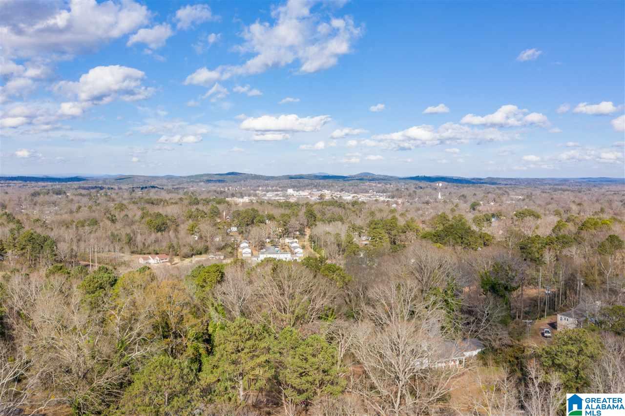 203 Primrose Path Sylacauga, AL 35150 - Photo 6 of 43