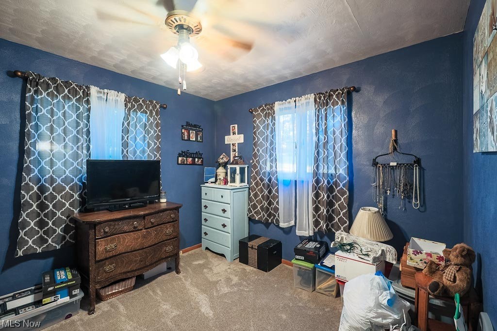 827 Bakers Addition Road Hopedale, OH 43976 - Photo 21 of 34 Miscellaneous room with light colored carpet and ceiling fan
