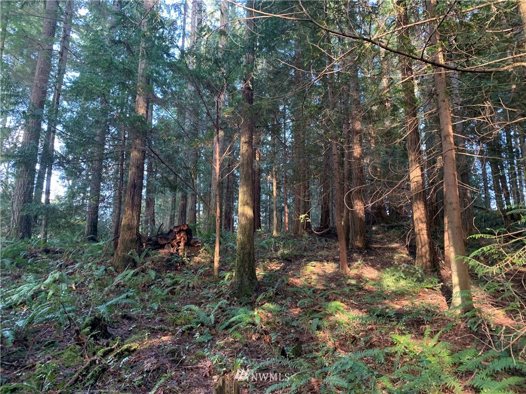 3602 Bethel Road Southeast Port Orchard, WA 98366 - Photo 5 of 5